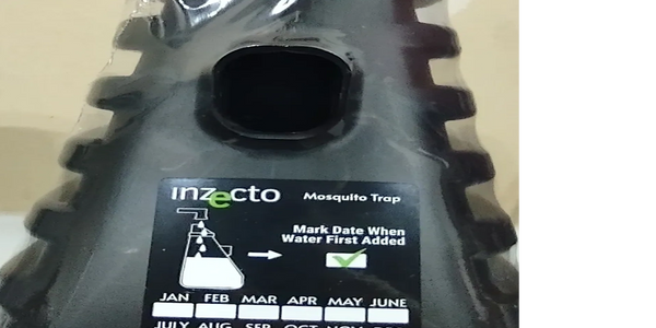 Inzecto Trap