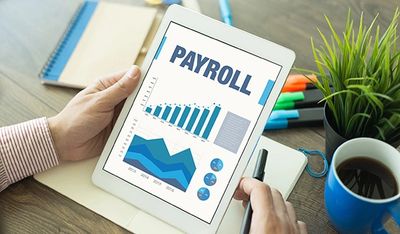 Payroll Services
CIS
Contractor