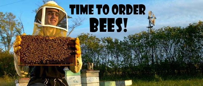 Anthony's Beehive - THE BEE STORE - Local Honey, Beekeeping