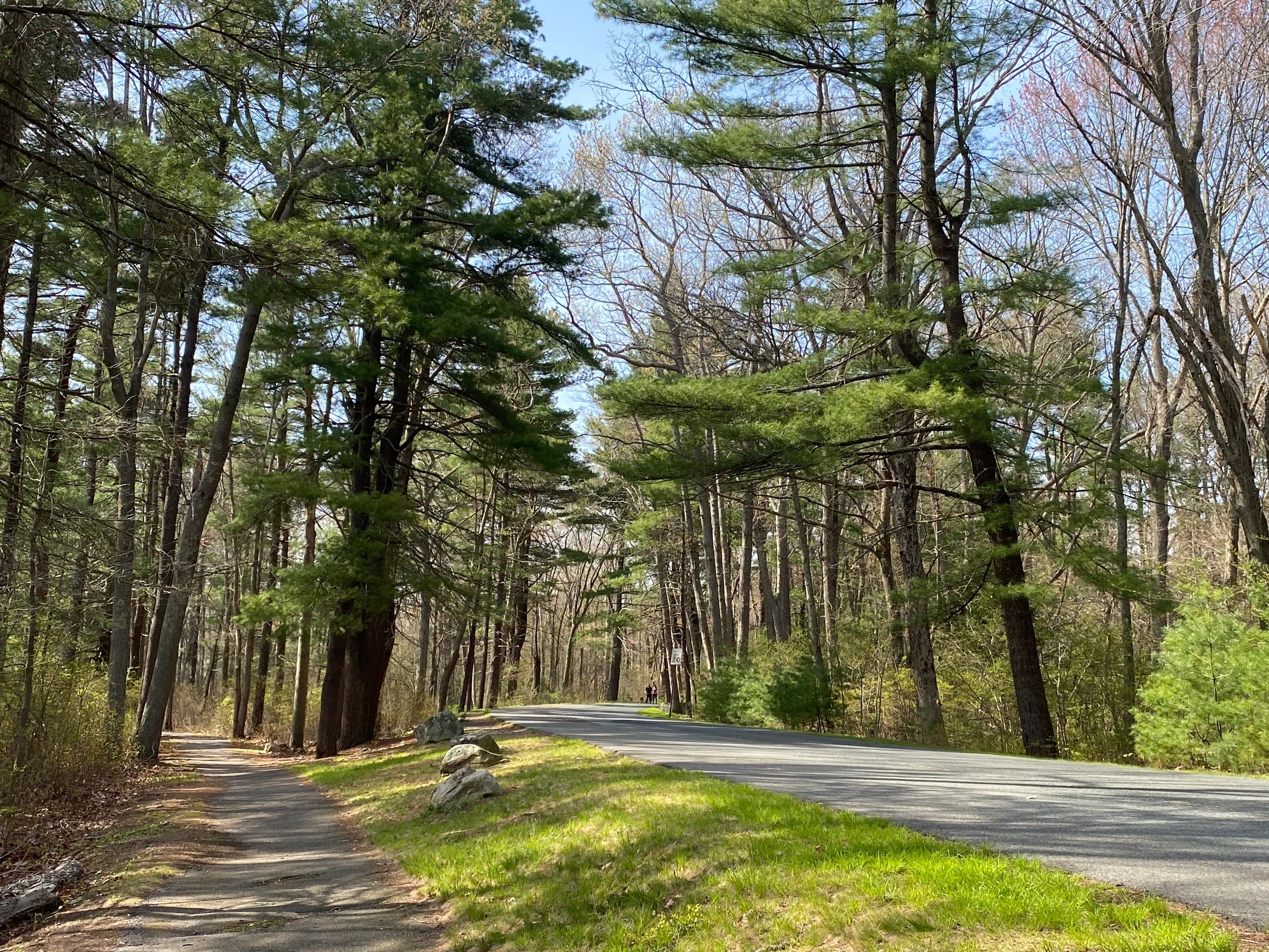 Parks Near Me, DW Field DW Field Park Brockton, Massachusetts