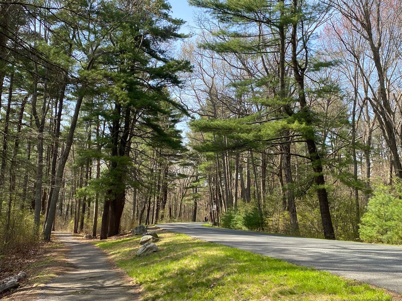 Parks Near Me, DW Field DW Field Park Brockton, Massachusetts