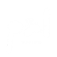 Pal Supports