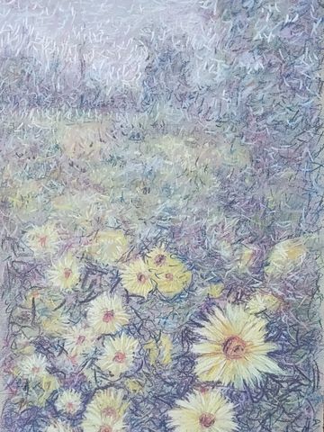 Field quick sketch wildflowers #1