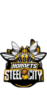 Steel City Hornets