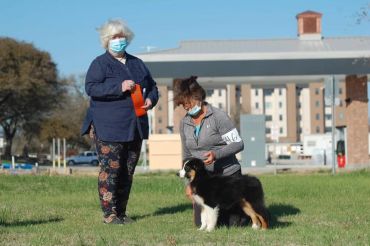 Two women with a dog outdoors, both wearing masks.
