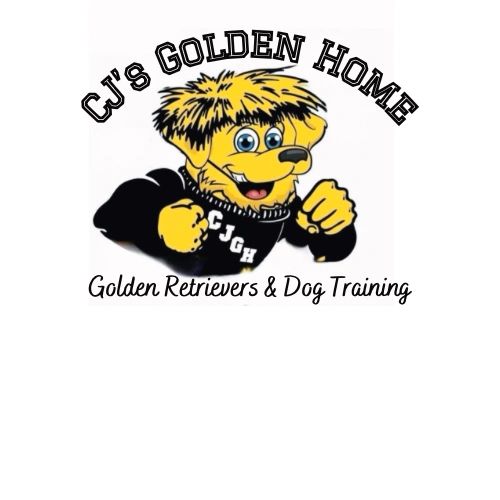 Dog Training Wichita Kansas CJ’s Golden Home