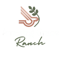 amazinggraceaz