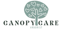 Canopy Care Arborist