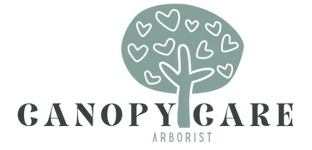 Canopy Care Arborist