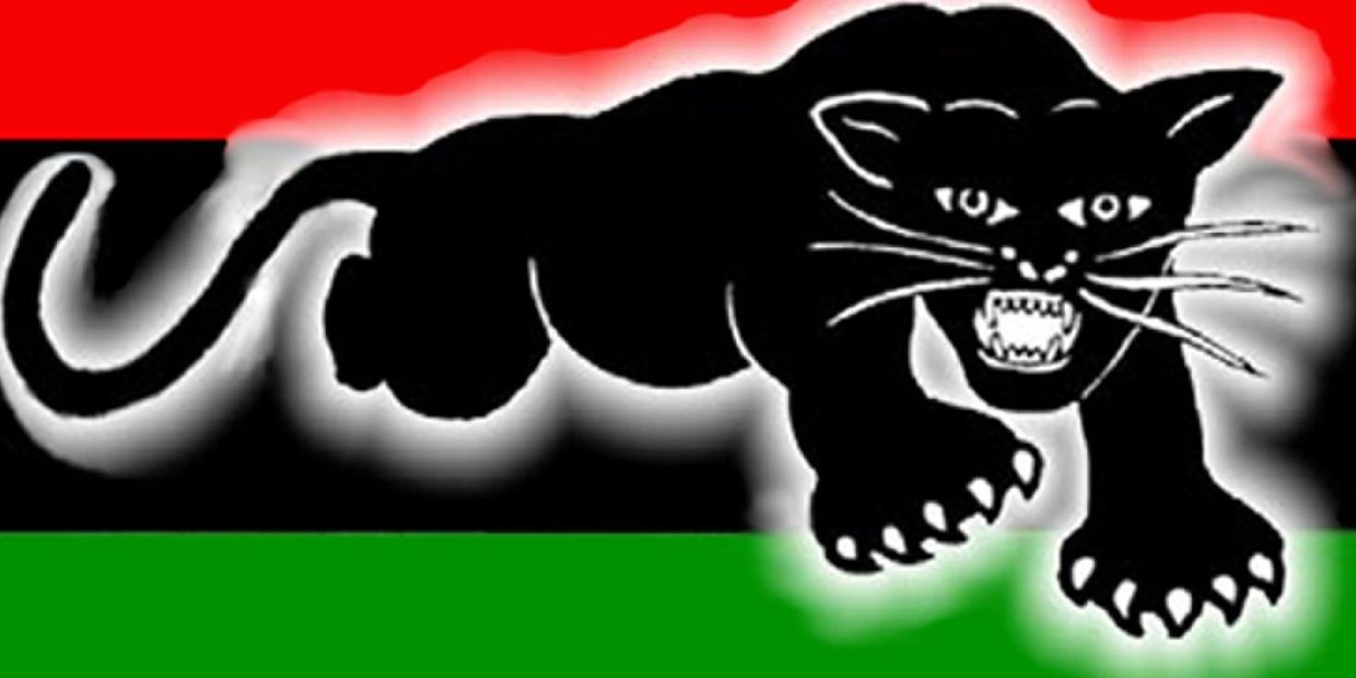 RBPP official logo of the revolutionary black panther party