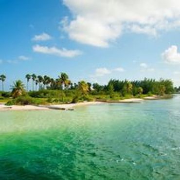 Cayman Private Charters Starfish Point