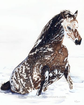 Watercolour painting, a  horse sitting in snow, capturing winter light and texture by Kathryn Taylor