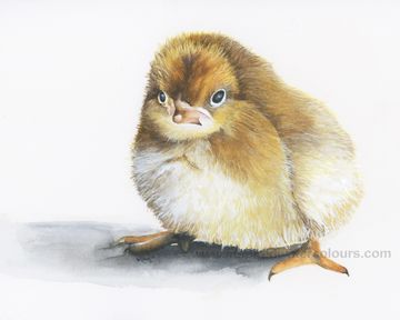 Delicate watercolor chick painting in soft hues, showcasing gentle brushstrokes and intricate detail