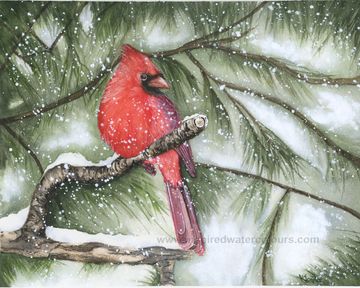 A crimson spirit in the stillness of winter, the cardinal reminds us that love and hope are always n