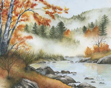 Canadian autumn landscape watercolour with golden trees, misty evergreens and a rocky river.