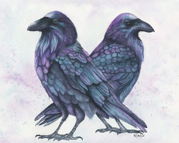 Original Canadian watercolour painting of two ravens purple and blue, symbolizing two perspectives.