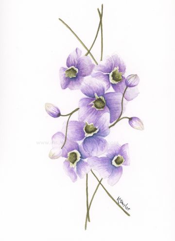 Delicate lavender blossoms in a minimalist botanical watercolour by Canadian artist Kathryn Taylor.