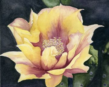 Soft yellow cactus flower glowing against dark green foliage in expressive watercolours.