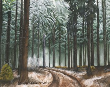 Watercolour forest landscape with tall evergreens and a winding path, nature art by Kathryn Taylor
