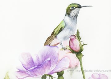 A watercolor of a hummingbird perched on pink and purple flowers, delicate details and soft hues.