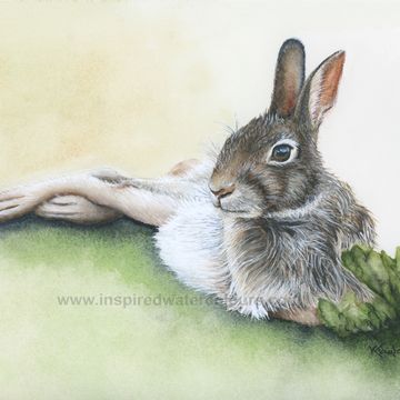 Watercolour painting of a brown rabbit on green grass, whimsical wildlife art by Kathryn Taylor.