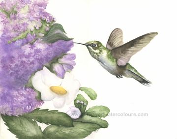 Watercolour painting of a hummingbird and flowers by Canadian artist Kathryn Taylor.