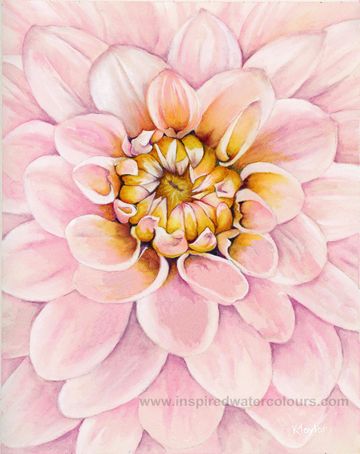 Watercolour painting of soft pink dahlia flower in full bloom, delicate floral art by Kathryn Taylor