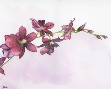 Pink floral watercolour with soft blooms on a light, calming background.