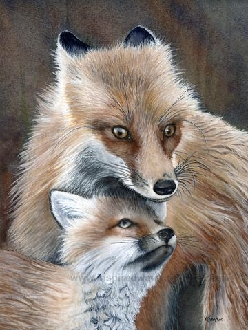 Watercolour painting, red foxes showing affection, nature-inspired wildlife art by Kathryn Taylor.