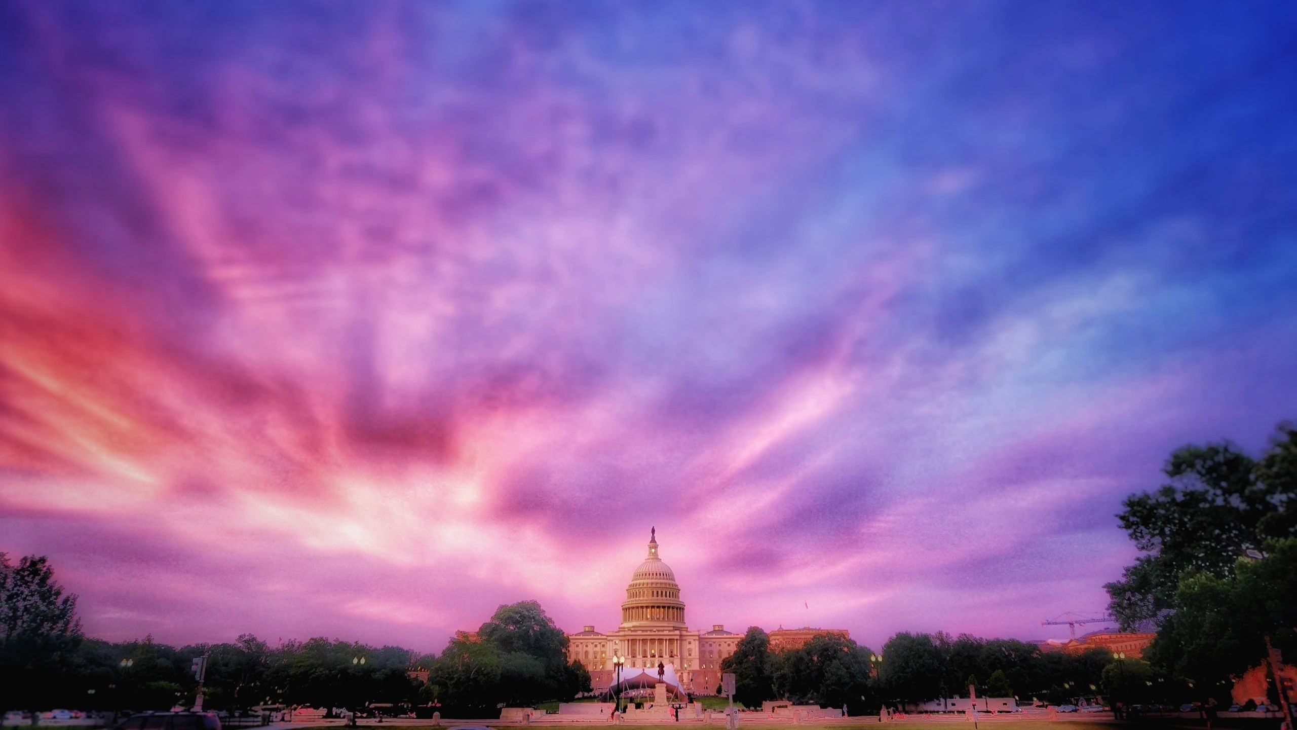 True North Strategies