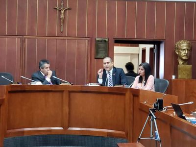 Audiencia publica en el Senado desarrollada 04/04/2019 donde se planteo la creación del ICE 