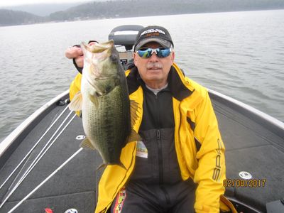 Best Lake Guntersville Fishing Guide