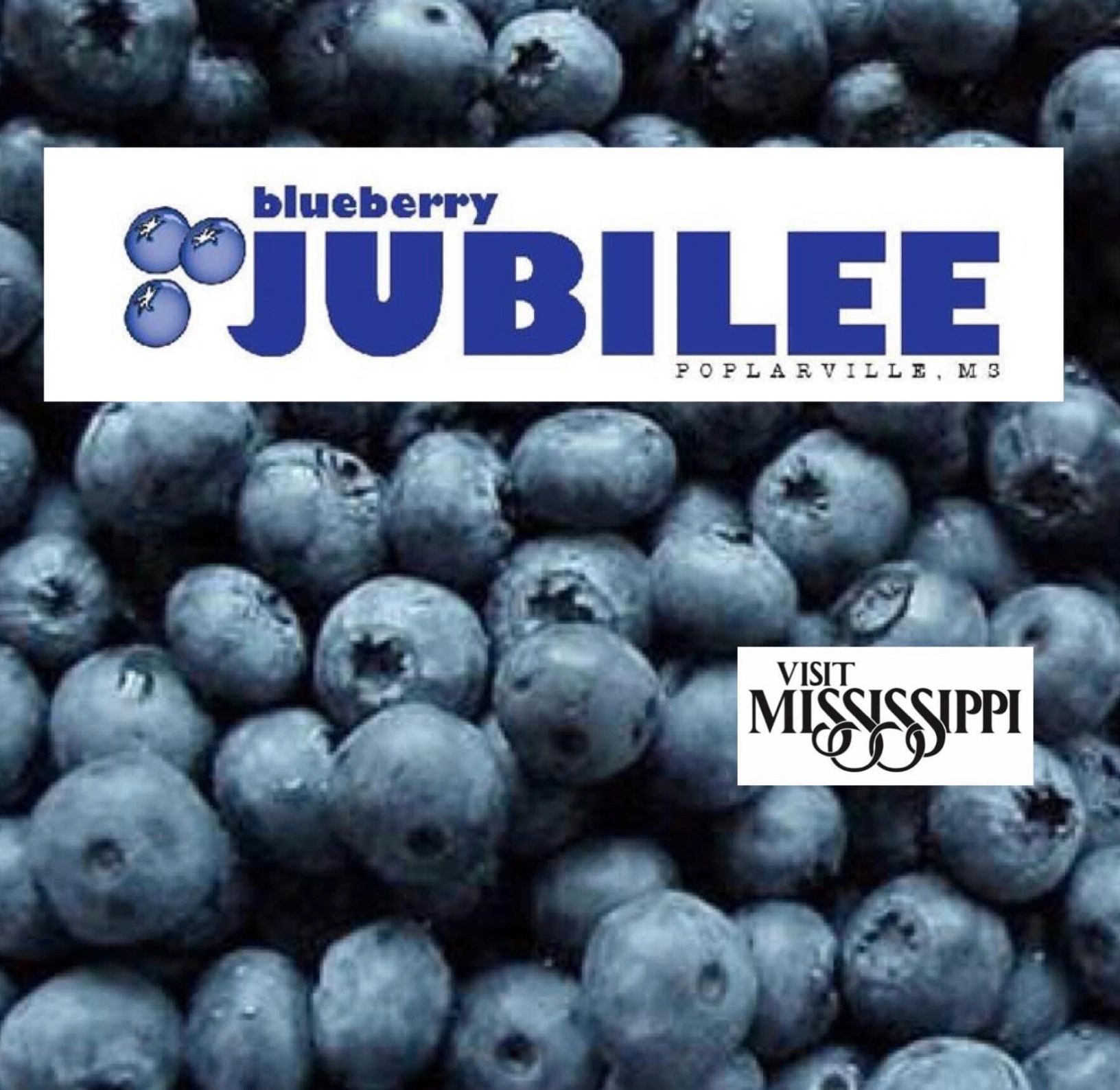 Blueberry Jubilee Home