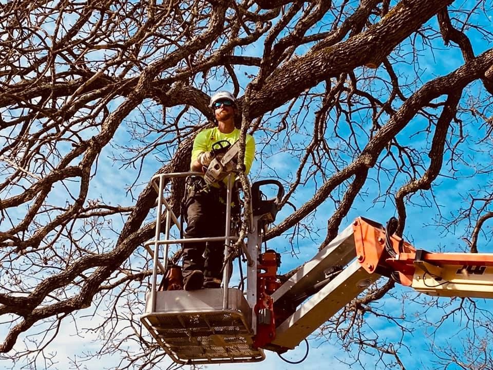 High N Tight Yards Tree Removal Landscaping Lawn Care