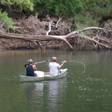 fly fishing