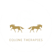 Charlotte Palfrey Equine Therapies 
