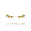 Charlotte Palfrey Equine Therapies 