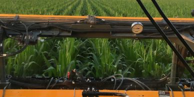 View of a green crop field through farm machinery.