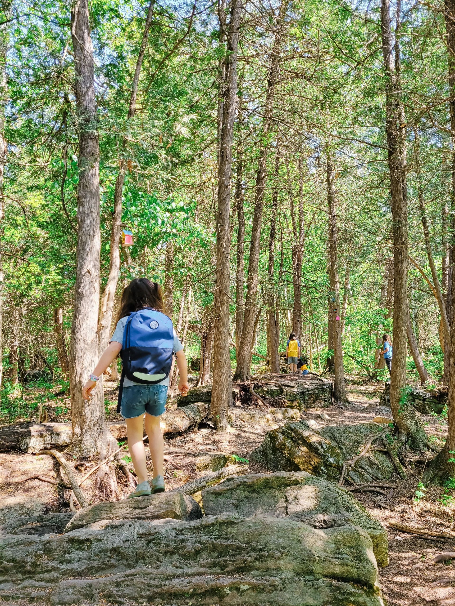 Mec cub daypack sales