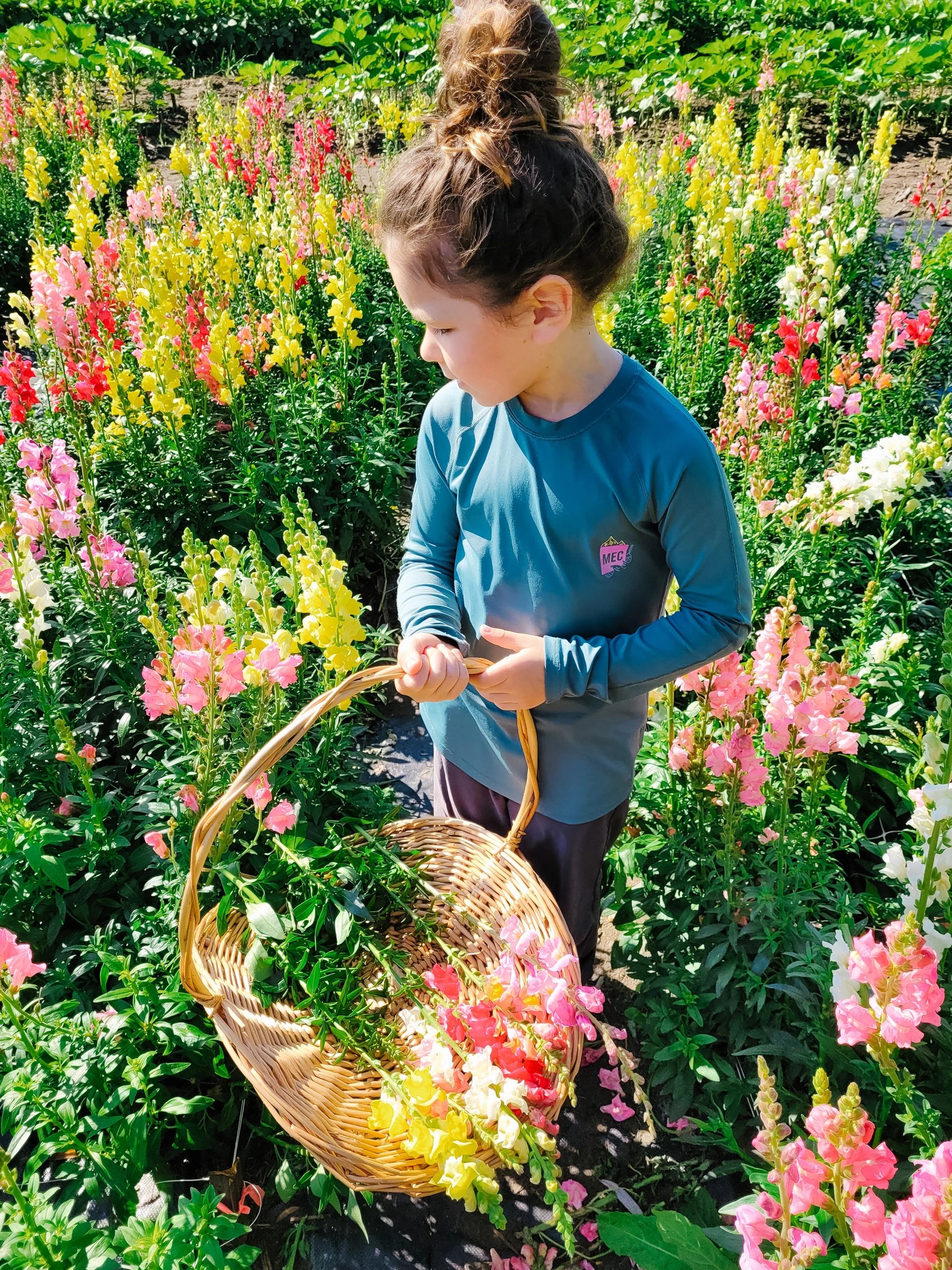 Adventures with Kids Green Corners Farm