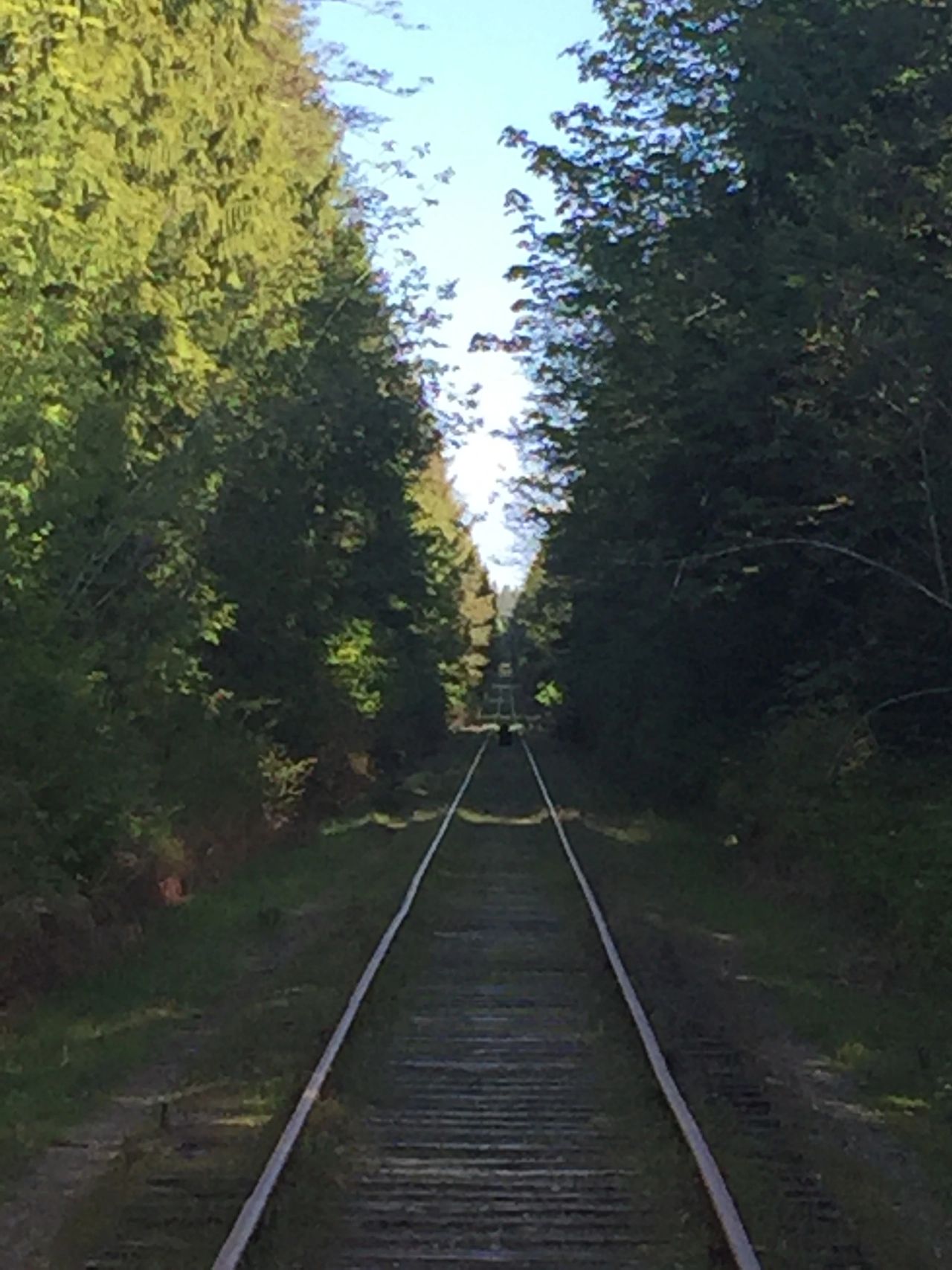 This old railway track runs at the foot of our driveway.