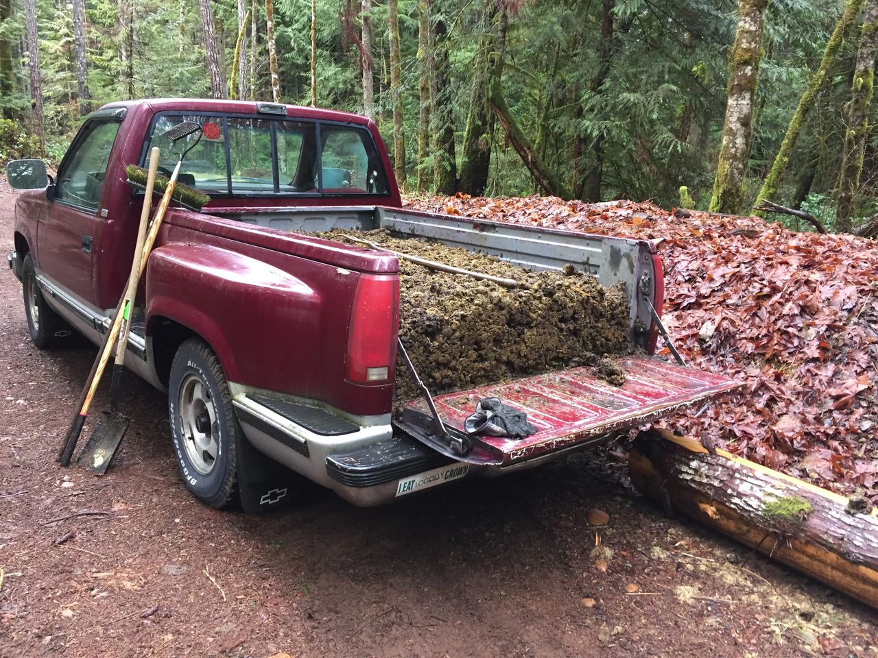 Step 5: Pick up truck filled with raw horse manure ready to become one of the alternating layers of garden materials.