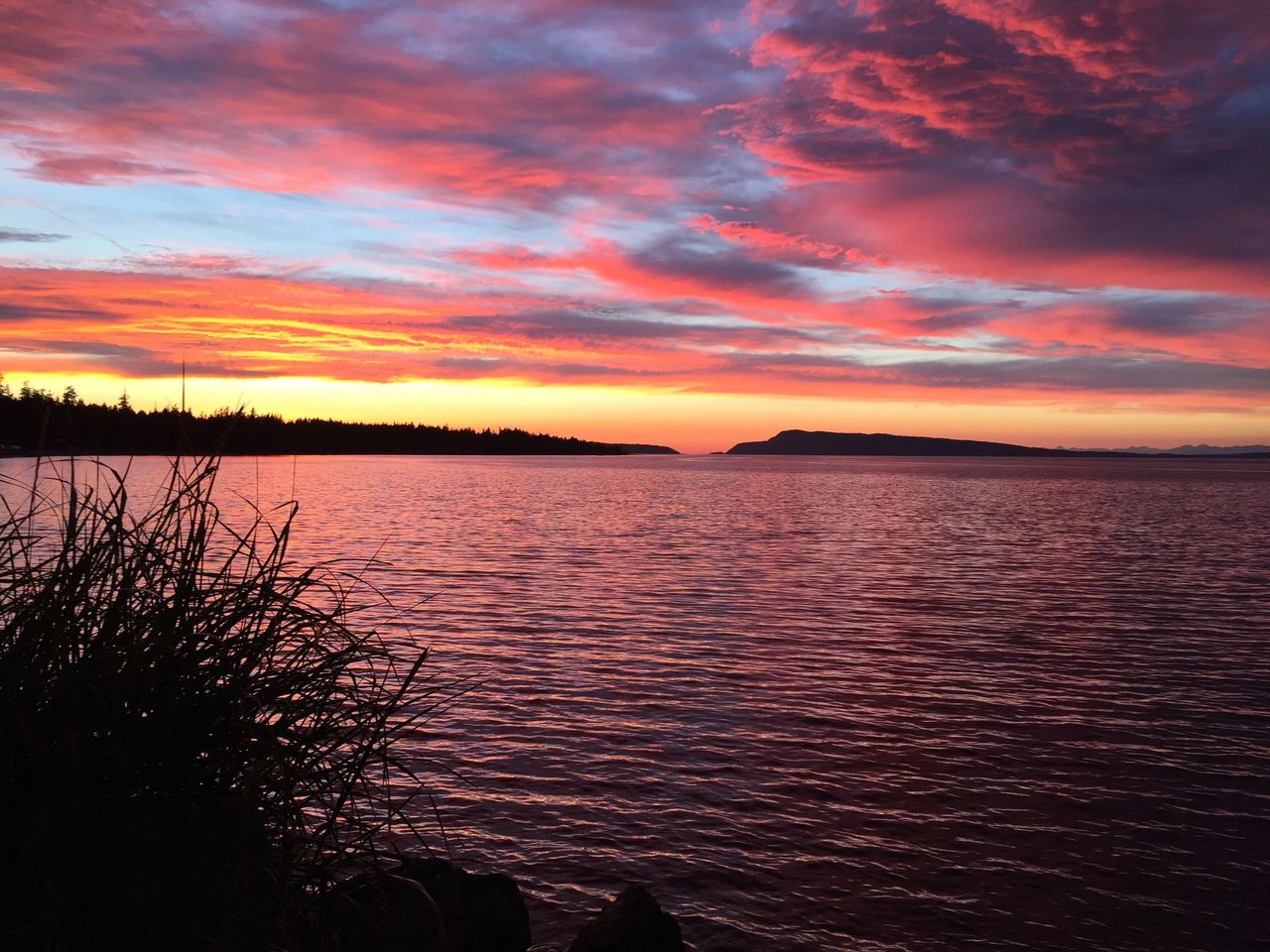 Qualicum Bay night sky, the bay is only a 5 minute walk from the property.
