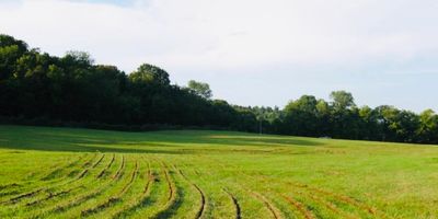 Subsoiling
Subsoiler
Hardpan
Soil Compaction
Crop Production
Soil Monitoring