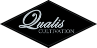  Qualis Cultivation