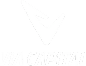 Via Capital Invest