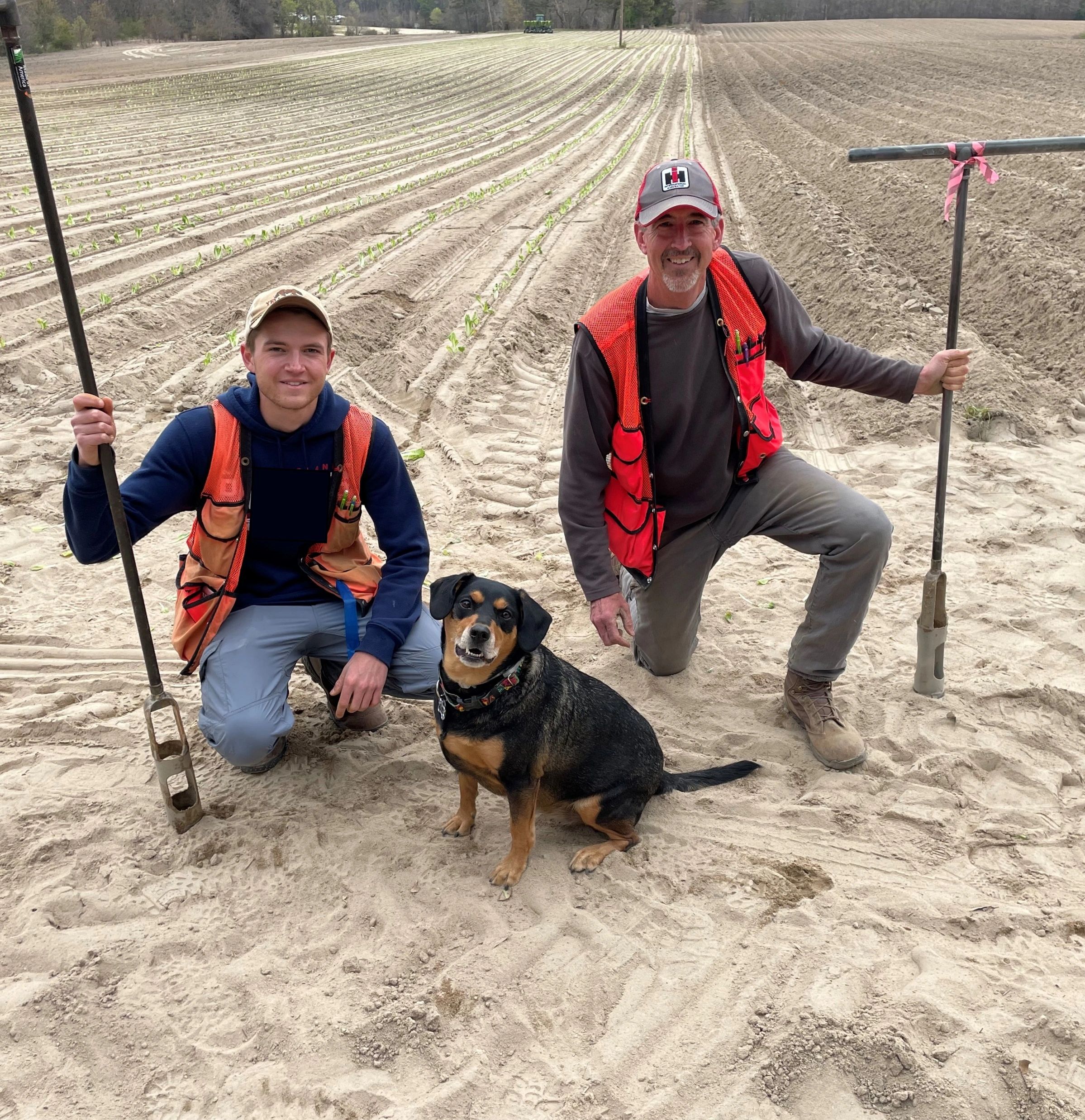 Wood Soil Consultants PLLC