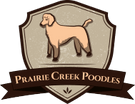 Prairie Creek Poodles