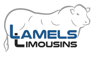 Lamels Limousins