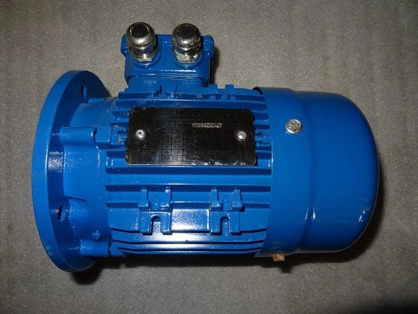 HOYER 0.75kw/1HP Ms Electric Motor MS713-2

